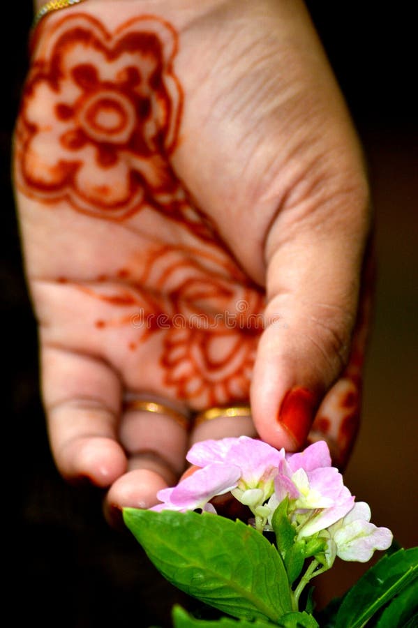 270 Hand Plucking Flower Stock Photos Free & RoyaltyFree Stock