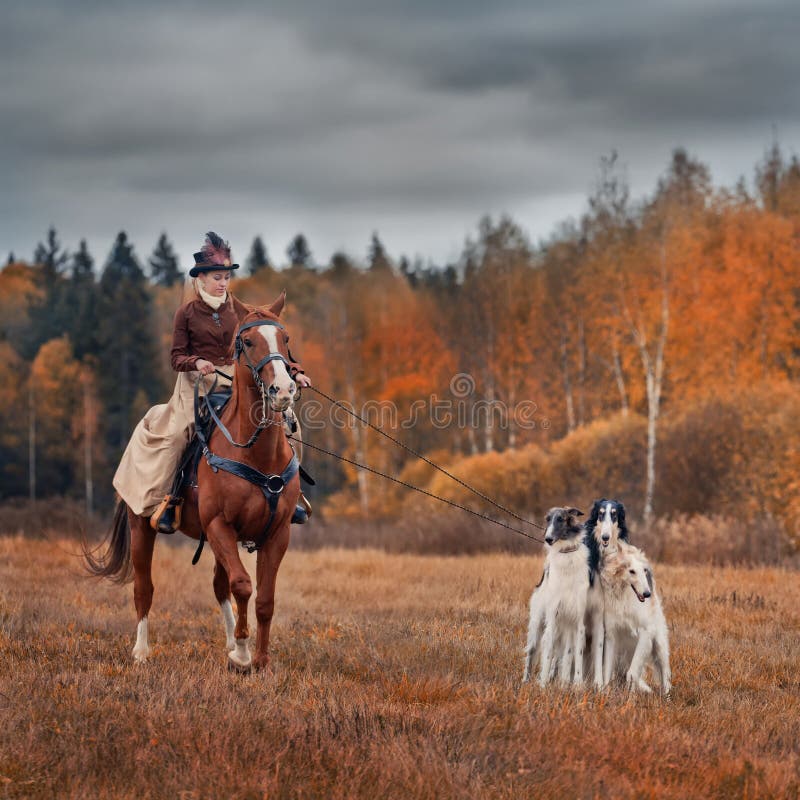 Dáma na koni habbit XIX Století s ruskými borzoy psů, jízda na lov.