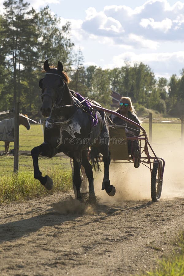 Sulky race hi-res stock photography and images - Alamy