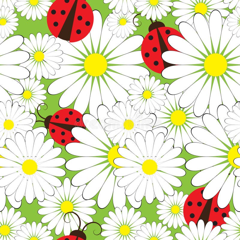 Ladybirds and chamomile