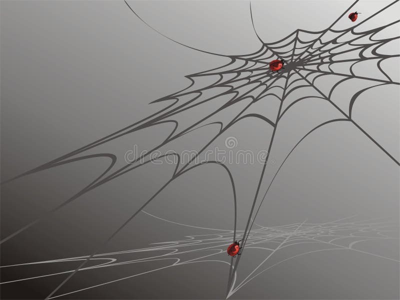 Ladybirds on spider web