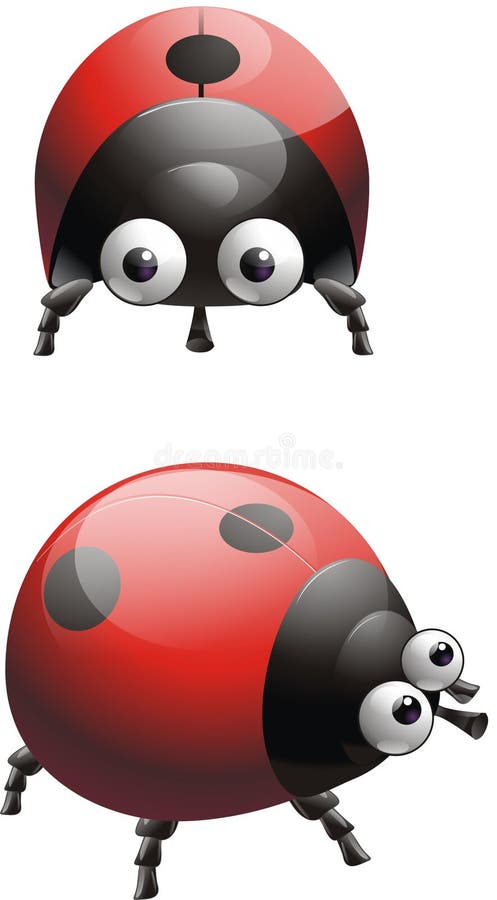 Ladybug illustrazione vettoriale Ladybug illustrazione vettoriale
