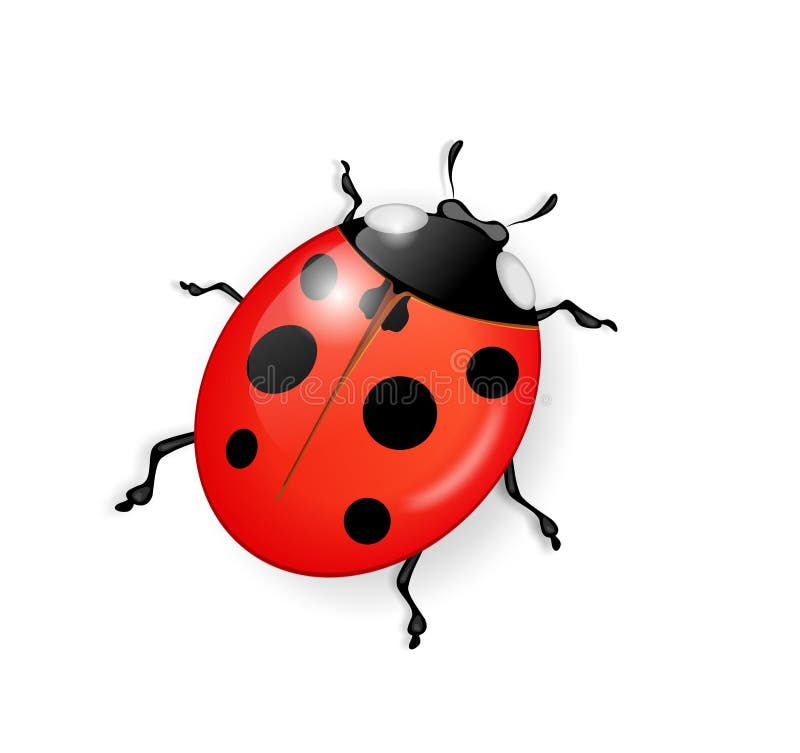 Download Ladybug Insect Illustration Royalty-Free Stock