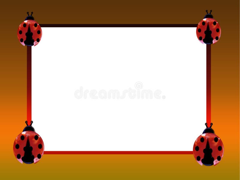 Ladybug