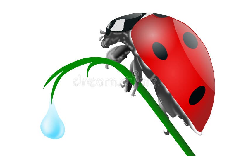 Ladybug royalty illustrazione gratis Ladybug royalty illustrazione gratis