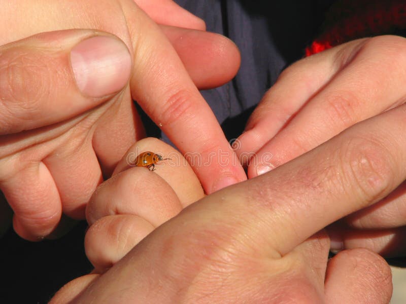 Daddy holding children's hands, ladybug on fingers