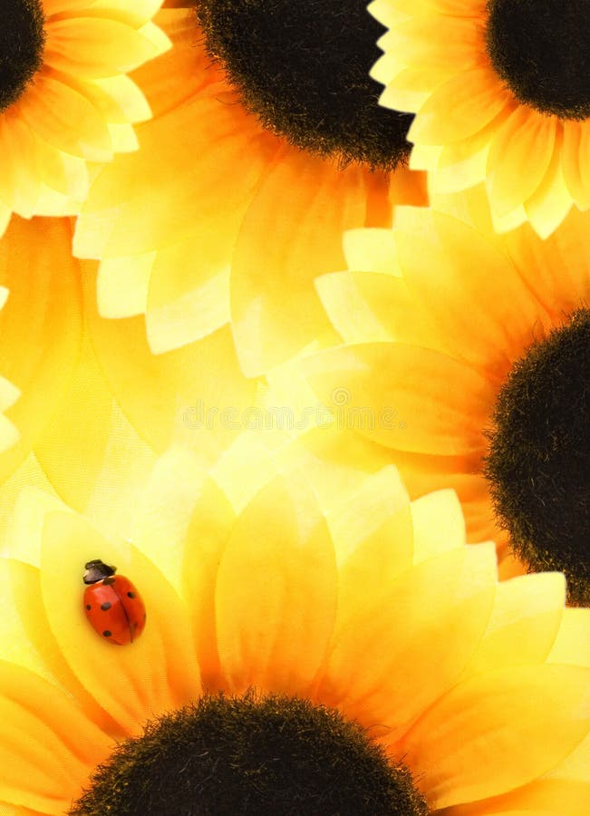 Picture of a Ladybug sitting on a sunflower