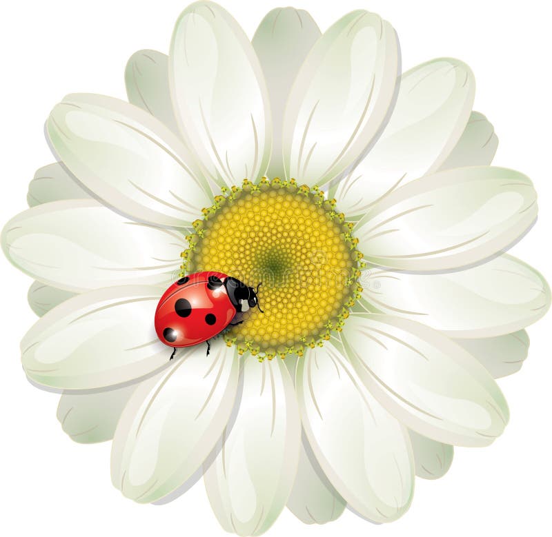 NEW 2016 LITTLE CRITTERZ INSECT ''DAISY'' LADY BUG ON DAISY FIGURINE W/BOX*Mint* 