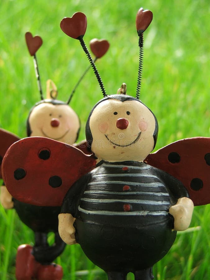 Ladybugs in love stock image. Image of copulate, garden 10274739