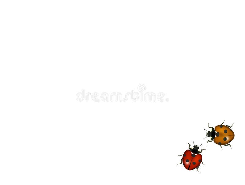 Ladybugs su priorità bassa bianca illustrazione vettoriale Ladybugs su priorità bassa bianca illustrazione vettoriale