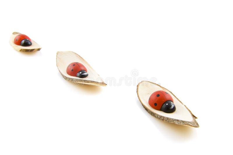 Ladybugs on wood stock image. Image of ladybug, backgrounds 11937007