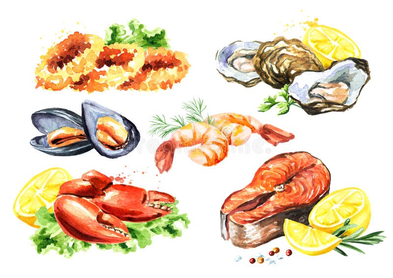 Lagad mat havs- sammansättningsuppsättning med laxen, tioarmade bläckfisken, krabban, musslor, ostron, räka, citronen och gräspla royaltyfri illustrationer Lagad mat havs- sammansättningsuppsättning med laxen, tioarmade bläckfisken, krabban, musslor, ostron, räka, citronen och gräspla royaltyfri illustrationer