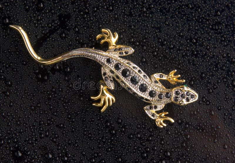 lagarto imágenes de archivo libres de regalías lagarto imágenes de archivo libres de regalías