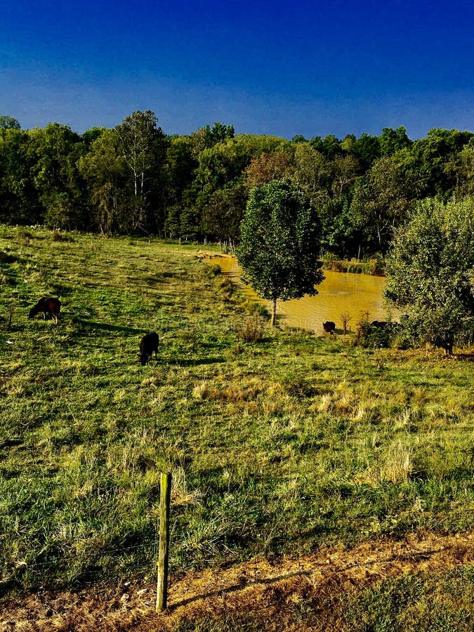 Lago imagen de archivo. Imagen de pasto, prado, escarpa - 79272303