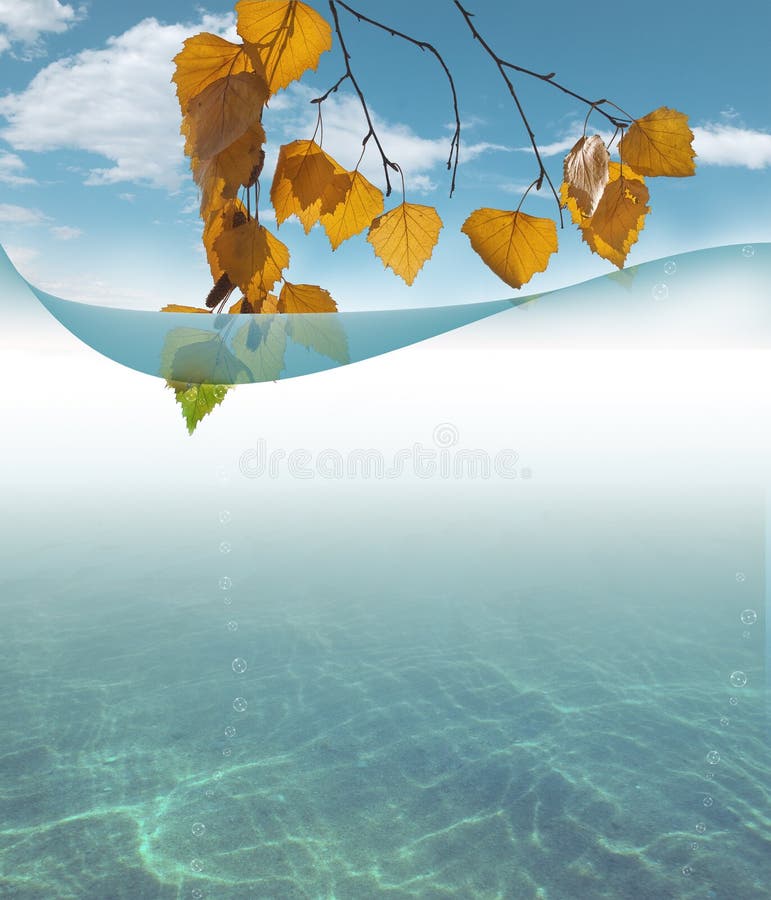 Lago. Antecedentes. libre illustration Lago. Antecedentes. libre illustration