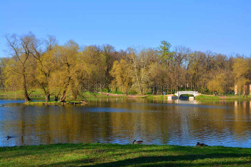 Lago Beloe no jardim do palácio Gatchina St Petersburg, Rússia fotos de stock royalty free Lago Beloe no jardim do palácio Gatchina St Petersburg, Rússia fotos de stock royalty free