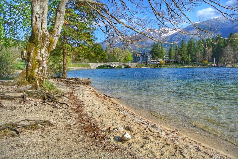 Lago Bohinj fotos de stock Lago Bohinj fotos de stock