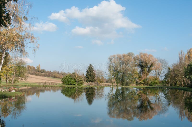 Lago bonito com as árvores na reflexão foto de stock royalty free