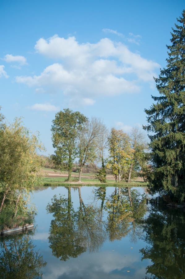 Lago bonito com as árvores na reflexão imagem de stock