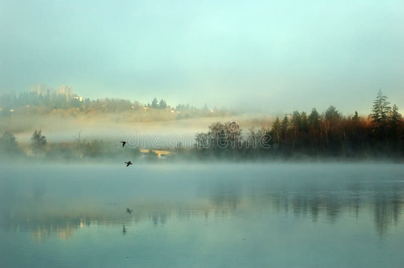 Foggy deer lake in the morning, burnaby, bc. Foggy deer lake in the morning, burnaby, bc