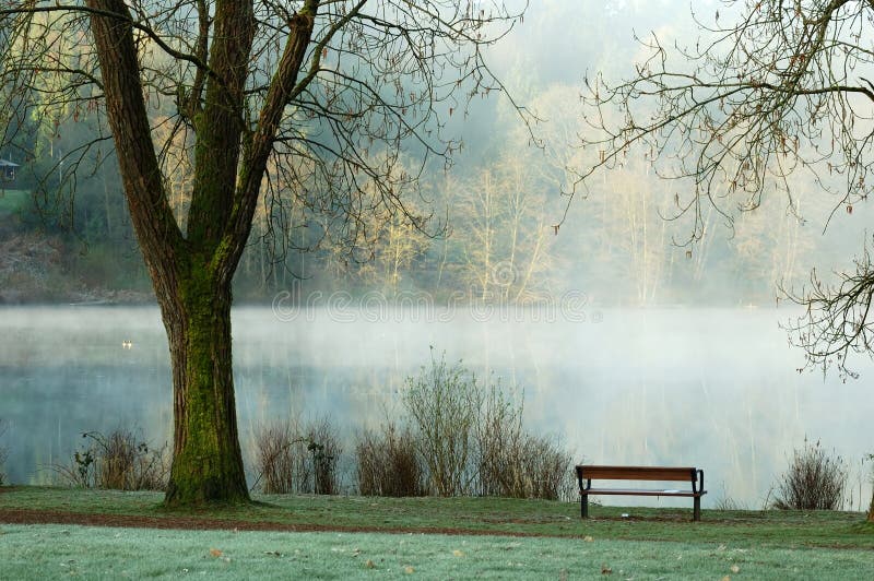 Foggy deer lake in the morning, burnaby, bc. Foggy deer lake in the morning, burnaby, bc