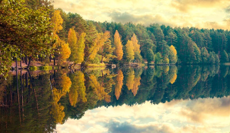 Lago de los árboles de la caída imagen de archivo libre de regalías