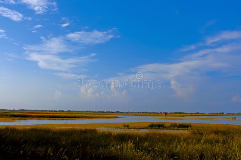 Lago de sal Overgrown perto do mar imagens de stock