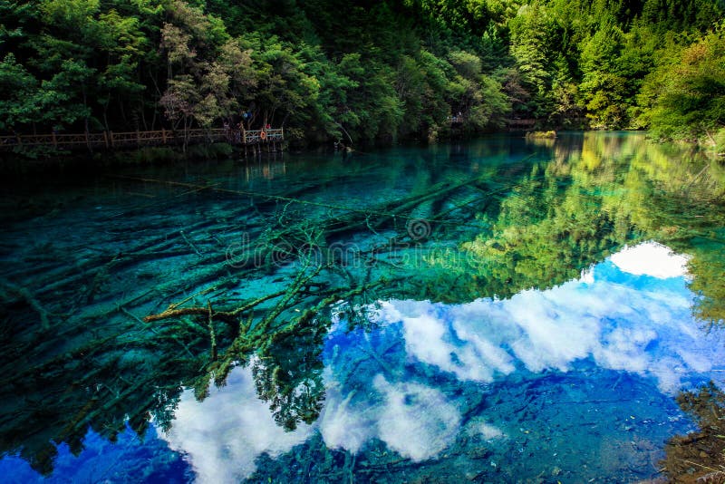 Lago e árvores no Vale Jiuzhaigou, Sichuan, China foto de stock Lago e árvores no Vale Jiuzhaigou, Sichuan, China foto de stock