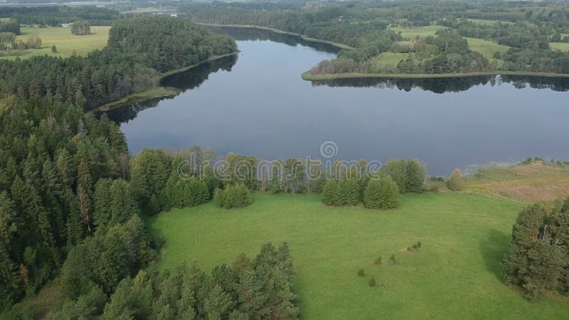 Lago estivo e foresta in Lituania, aerei