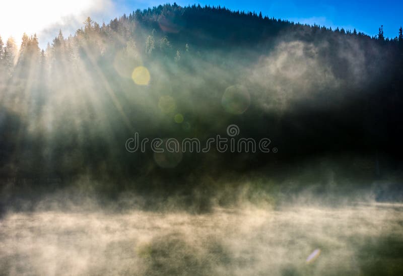 Lago forest in nebbia ad alba immagine stock libera da diritti Lago forest in nebbia ad alba immagine stock libera da diritti