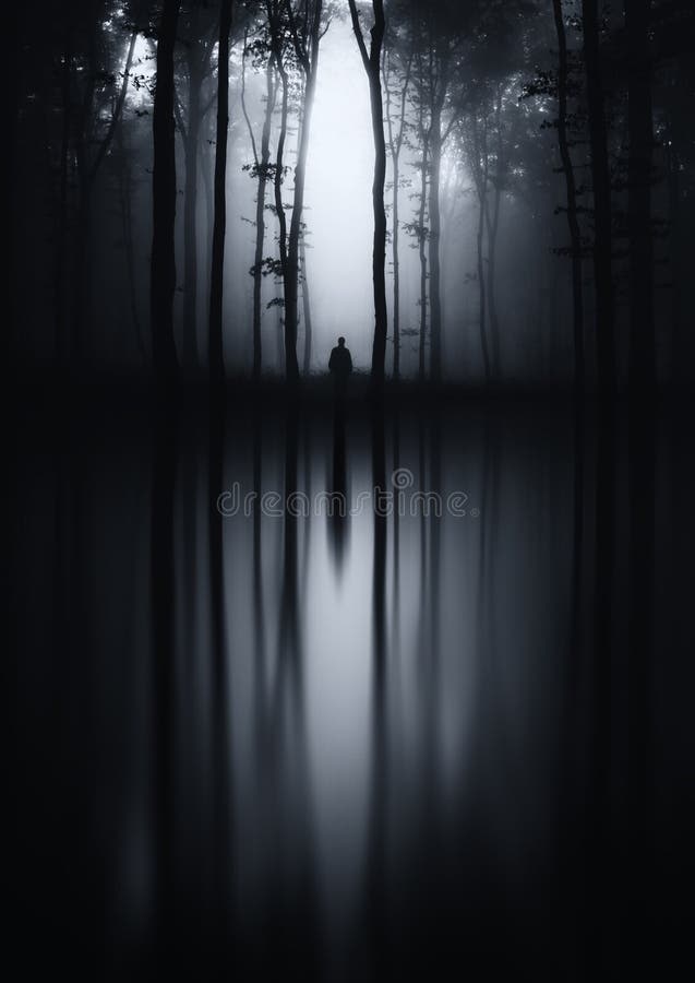 Lago frequentato buio nella foresta