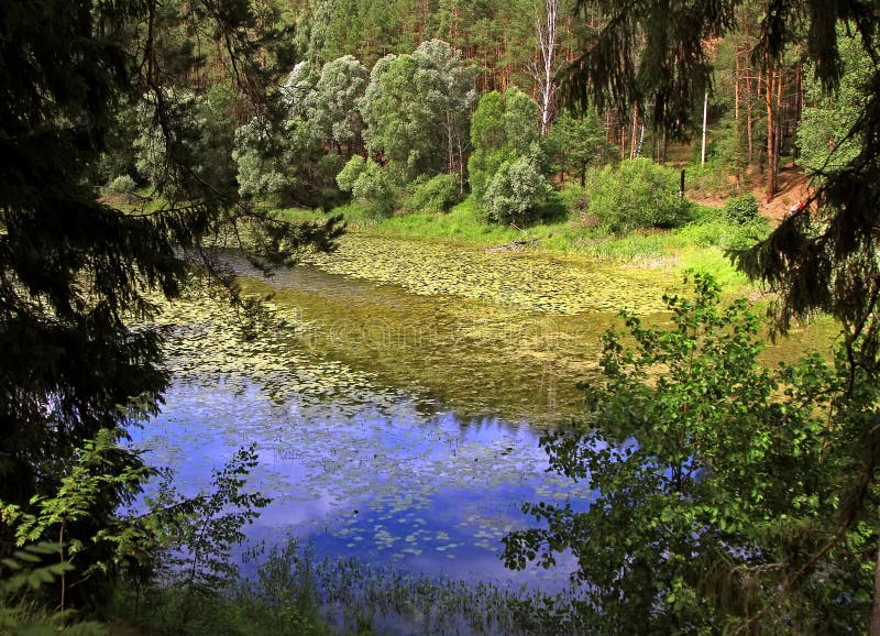 Lago invaso con la lemma verde immagini stock