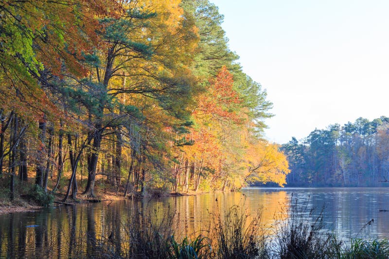 Lago Johnson in Raleigh, NC durante la stagione di caduta