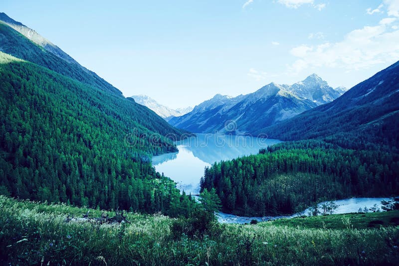 Lago Kucherlinskoe mountain da sopra, l'Altai, Russia Bella montagna con acqua del turchese fra le montagne nel taiga