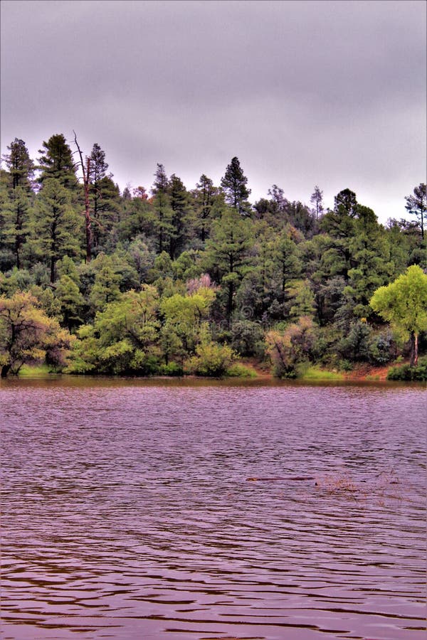 Lago lynx, distrito da guarda florestal de Bradshaw, Prescott National Forest, estado do Arizona, Estados Unidos imagens de stock Lago lynx, distrito da guarda florestal de Bradshaw, Prescott National Forest, estado do Arizona, Estados Unidos imagens de stock