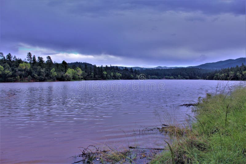 Lago lynx, distrito da guarda florestal de Bradshaw, Prescott National Forest, estado do Arizona, Estados Unidos fotografia de stock Lago lynx, distrito da guarda florestal de Bradshaw, Prescott National Forest, estado do Arizona, Estados Unidos fotografia de stock