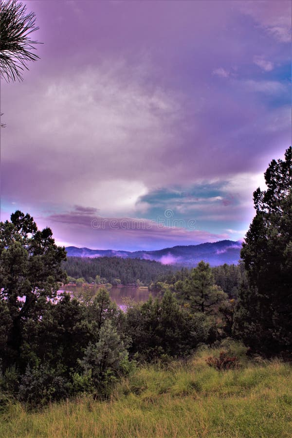 Lago lynx, sezione forestale di Bradshaw, Prescott National Forest, stato dell'Arizona, Stati Uniti fotografie stock Lago lynx, sezione forestale di Bradshaw, Prescott National Forest, stato dell'Arizona, Stati Uniti fotografie stock