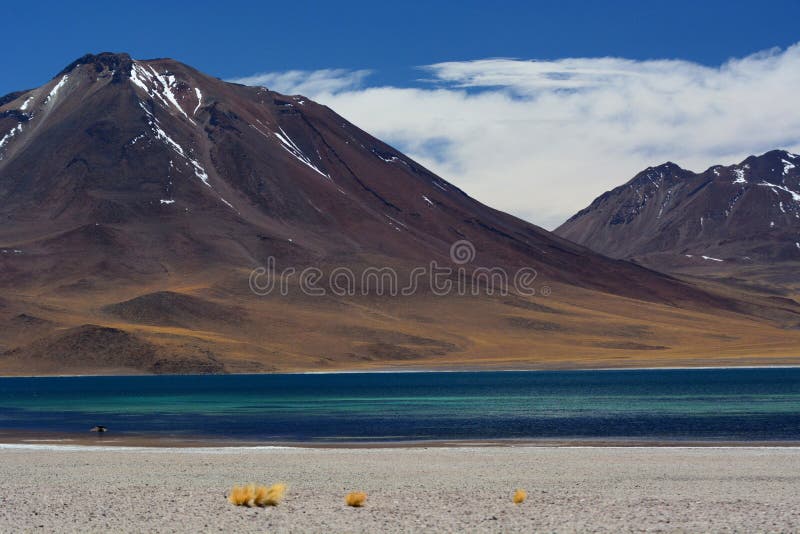 Lago Miscanti ou Laguna Miscanti Reserva nacional dos flamencos do Los Região de Antofagasta chile foto de stock royalty free Lago Miscanti ou Laguna Miscanti Reserva nacional dos flamencos do Los Região de Antofagasta chile foto de stock royalty free