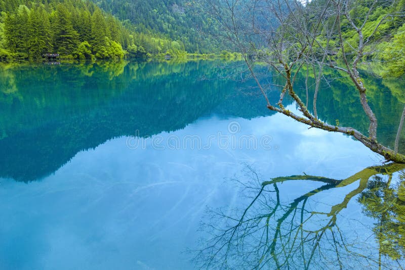 Lago na floresta profunda foto de stock Lago na floresta profunda foto de stock