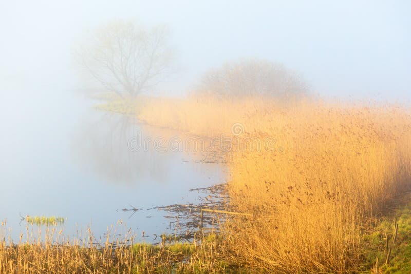 Lago nebbioso di mattina della molla immagine stock Lago nebbioso di mattina della molla immagine stock