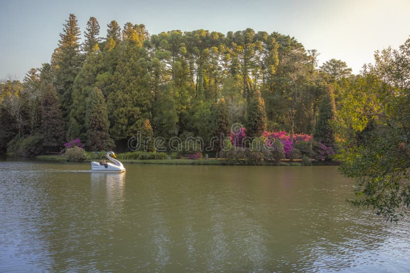 Lago Negro Black Lake with Swan Pedal Boat - Gramado, Rio Grande do Sul, Brazil