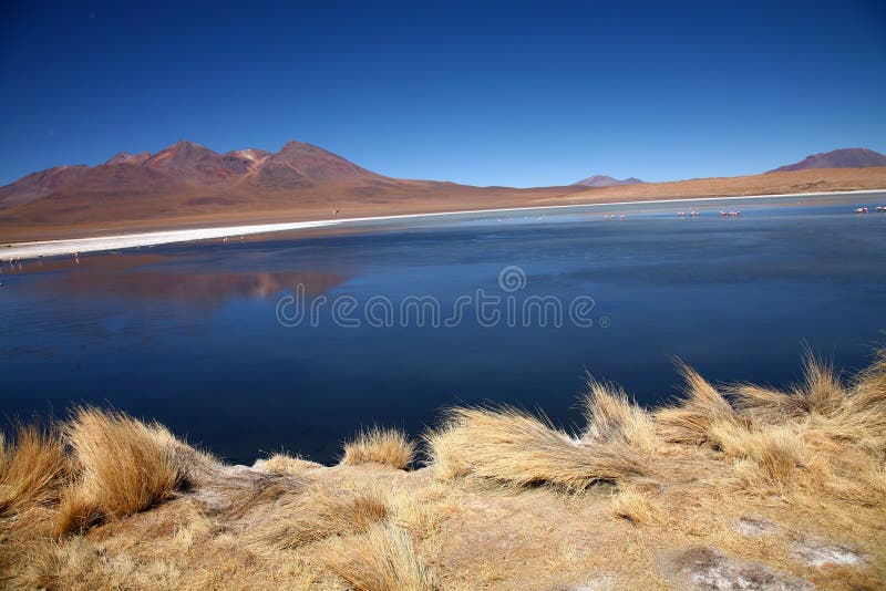 Lago nos Andes, Bolívia foto de stock Lago nos Andes, Bolívia foto de stock