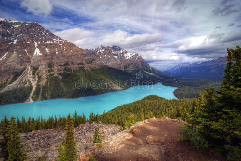 The incredible turquoise blue water of Peyto Lake in Banff National Park in Alberta Canada. The amazing color is natural and is caused by light reflecting on the rock flower which is suspended in the water. The glaciers grind up the rock as they move and then the melt water carries the rock flower into the lake. The incredible turquoise blue water of Peyto Lake in Banff National Park in Alberta Canada. The amazing color is natural and is caused by light reflecting on the rock flower which is suspended in the water. The glaciers grind up the rock as they move and then the melt water carries the rock flower into the lake.