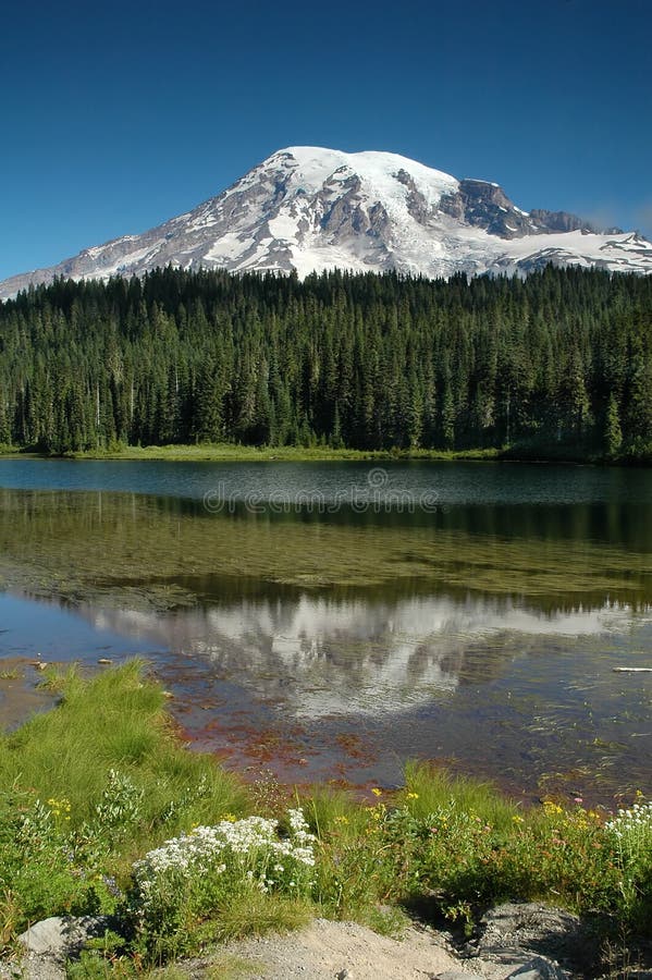 Lago reflection al supporto più piovoso, Stato del Washington