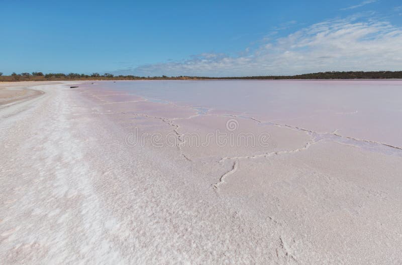 Lago rosado Becking, Australia de la corteza de la sal foto de archivo libre de regalías Lago rosado Becking, Australia de la corteza de la sal foto de archivo libre de regalías