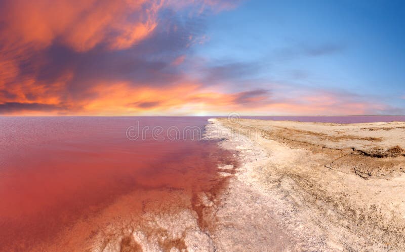 Red sunset above pink extremely salty Syvash Lake, colored by microalgae with crystalline salt depositions. Also known as Putrid Sea or Rotten Sea. Ukraine, Kherson Region. Red sunset above pink extremely salty Syvash Lake, colored by microalgae with crystalline salt depositions. Also known as Putrid Sea or Rotten Sea. Ukraine, Kherson Region