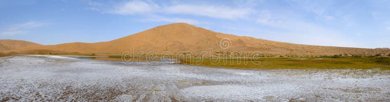 Lago salt no deserto fotos de stock royalty free Lago salt no deserto fotos de stock royalty free