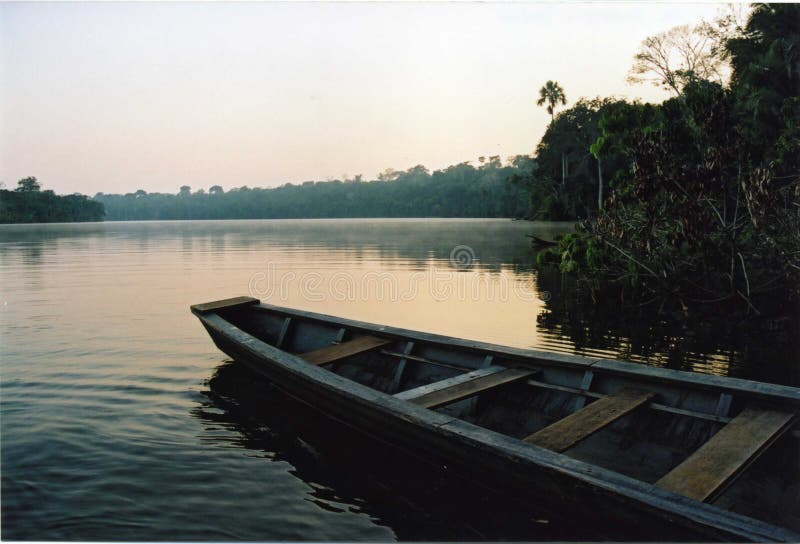 En Amazonas cuenca.