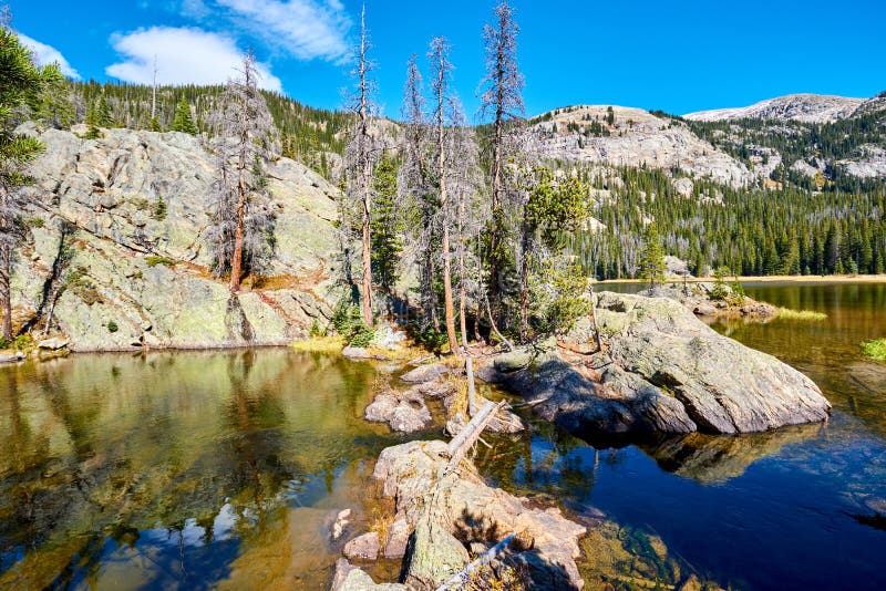 Despertar Rápido Acercarse Lago Solitario Pine, Rocky Mountains, Colorado, Los E.E.U.U. Imagen de  archivo - Imagen de exterior, solitario: 129988989