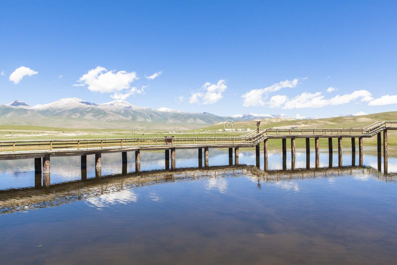 Lago swan nei pascoli di Bayanbulak in Xinjiang fotografie stock libere da diritti Lago swan nei pascoli di Bayanbulak in Xinjiang fotografie stock libere da diritti